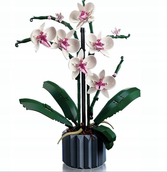 KONSTRUKTORU ZIEDI PUĶPODĀ “ORHIDEJA”,608gb